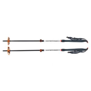 Åsnes Breidablikk Pole 2-Section V2